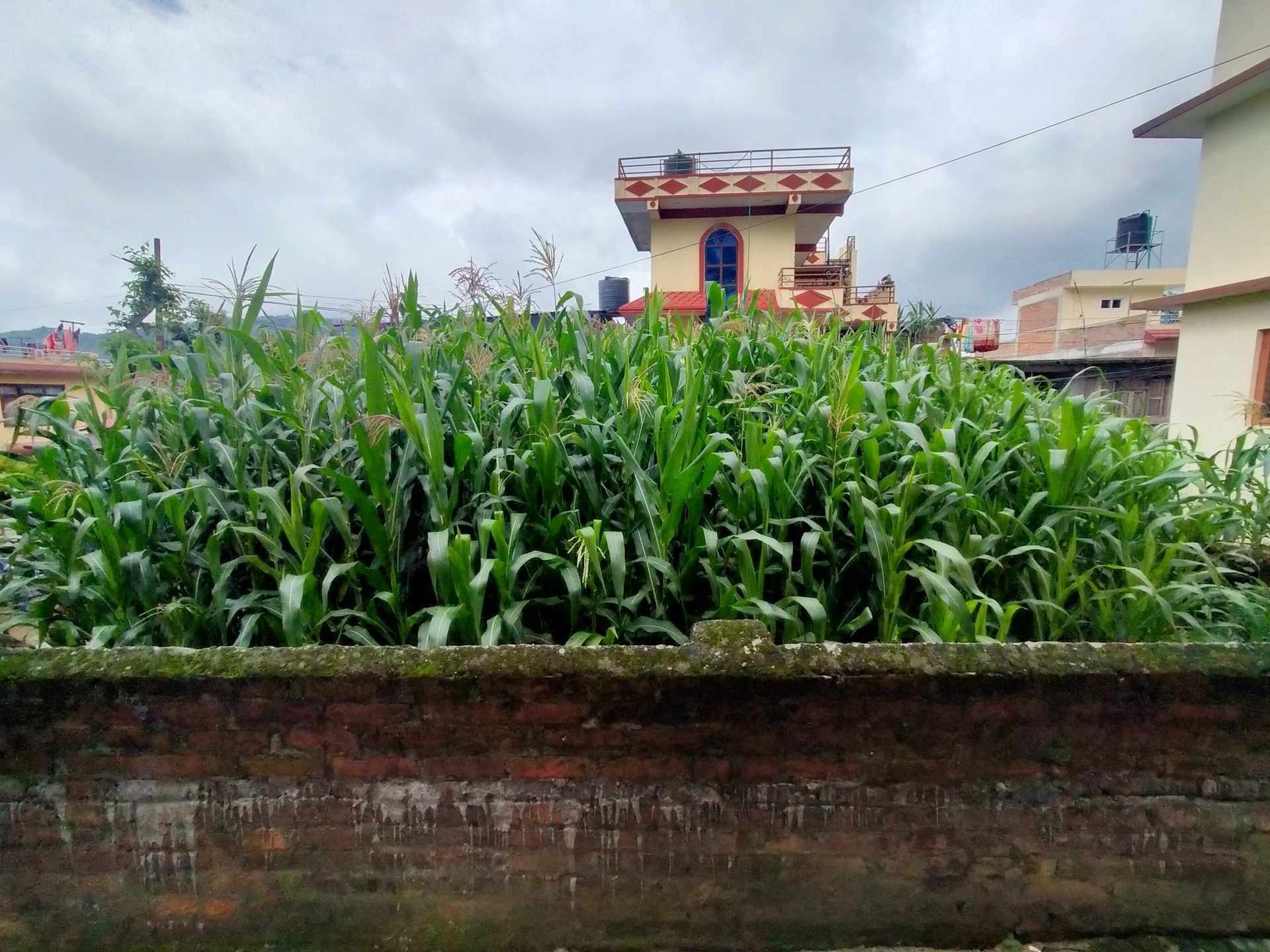 Residential Land on Sale in Chandragiri