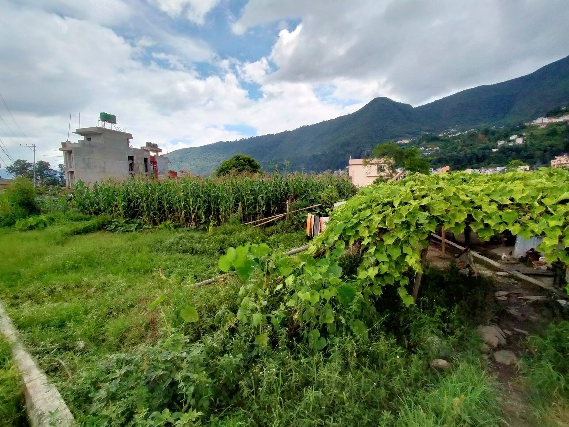 Residential Land on Sale in Taudaha