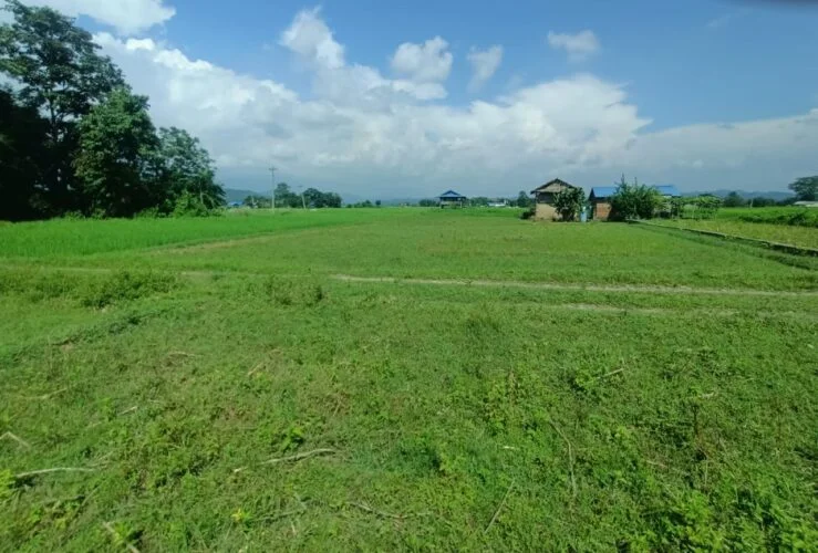 2 Katha (21.30 Aana) land for sale in Raigaun, Makwanpur