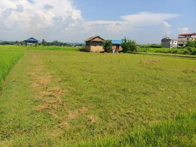 2 Katha (21.30 Aana) land for sale in Raigaun, Makwanpur