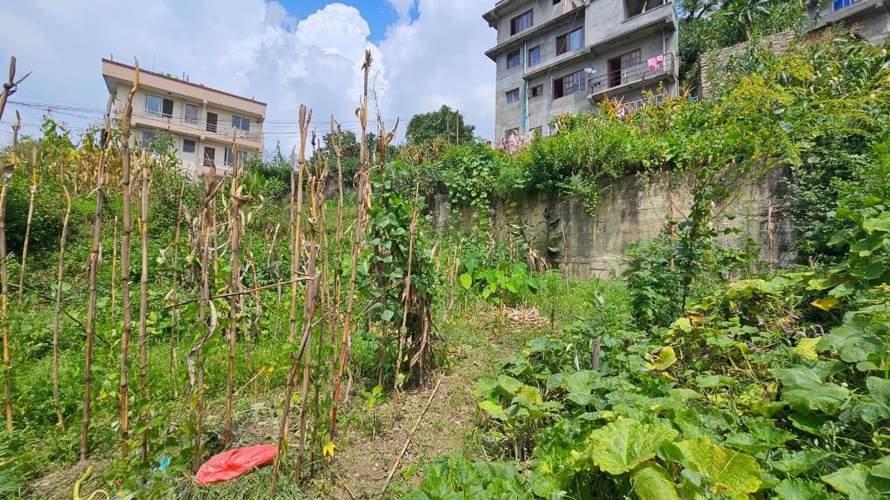 3 aana 3 paisa land for sale in Kusunti, Lalitpur