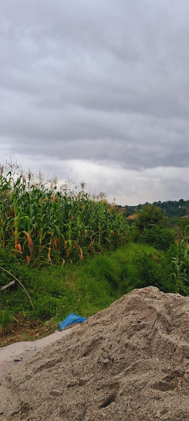 2 Ropani Land for Sale – Dukuchhap, Lalitpur