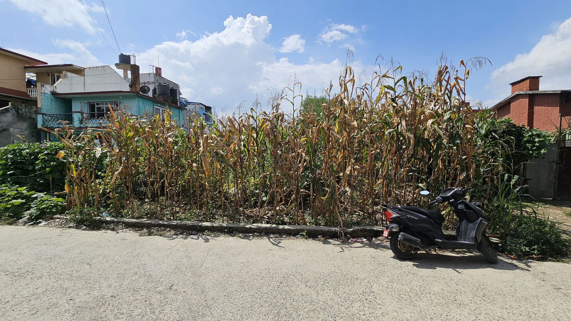 6.5 Aana Attractive Land For Sale For Sale in Talchikhel, inside ring road
