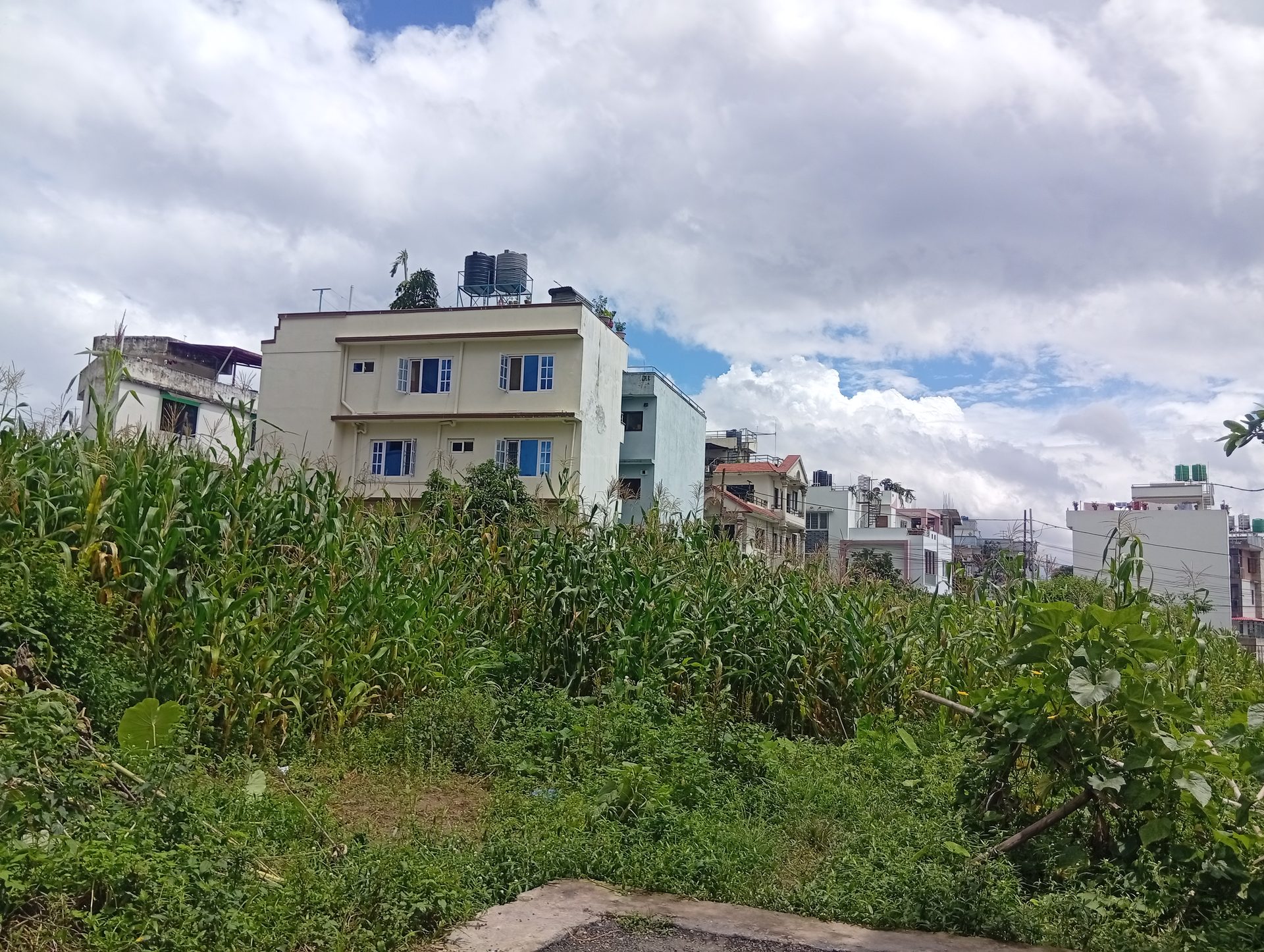 Land on Sale in Dhapa Height