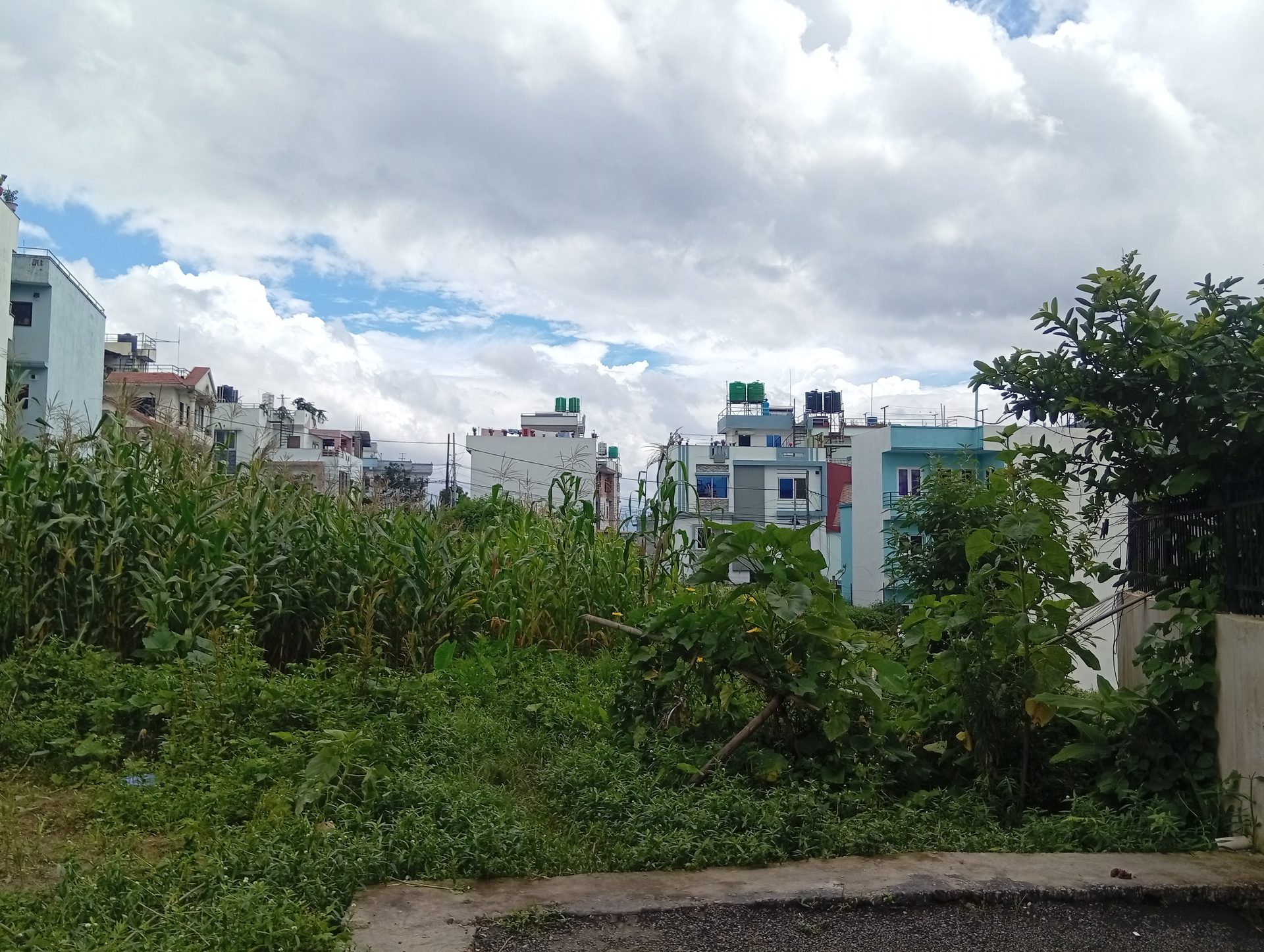 Land on Sale in Dhapa Height