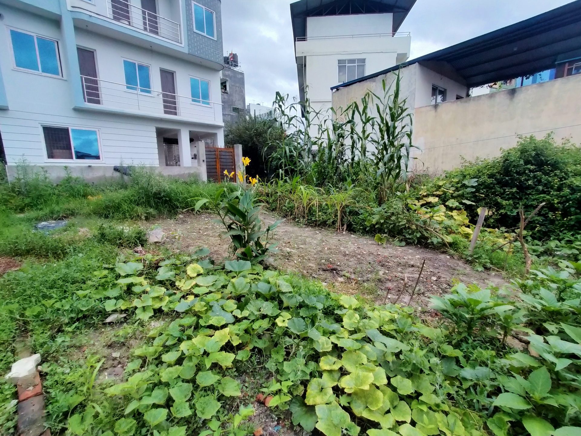 Residential Land on Sale in Kalanki