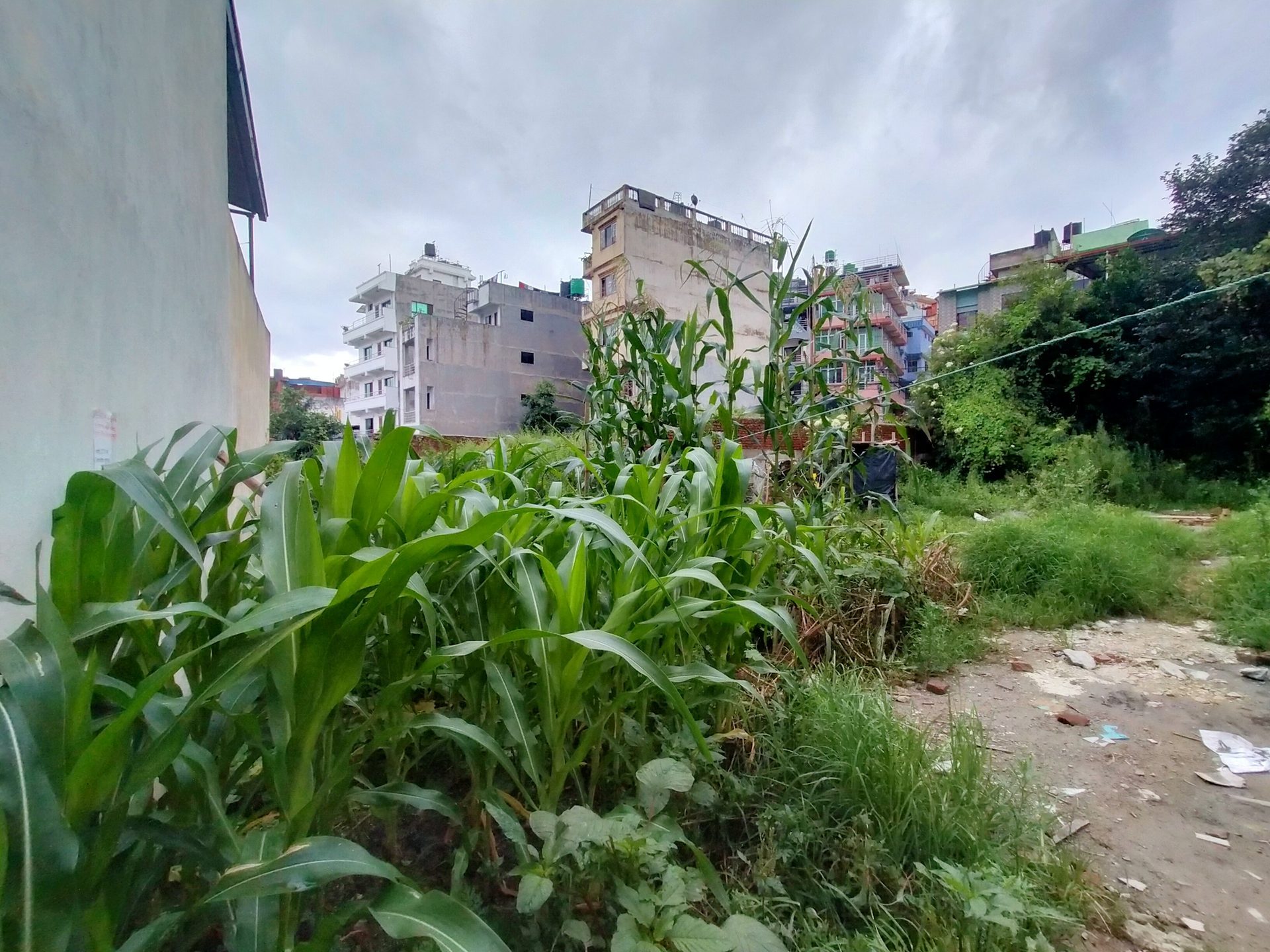 Residential Land on Sale in Kalanki