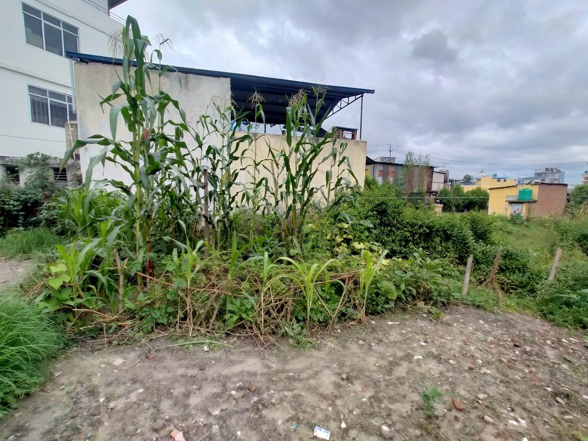 Residential Land on Sale in Kalanki