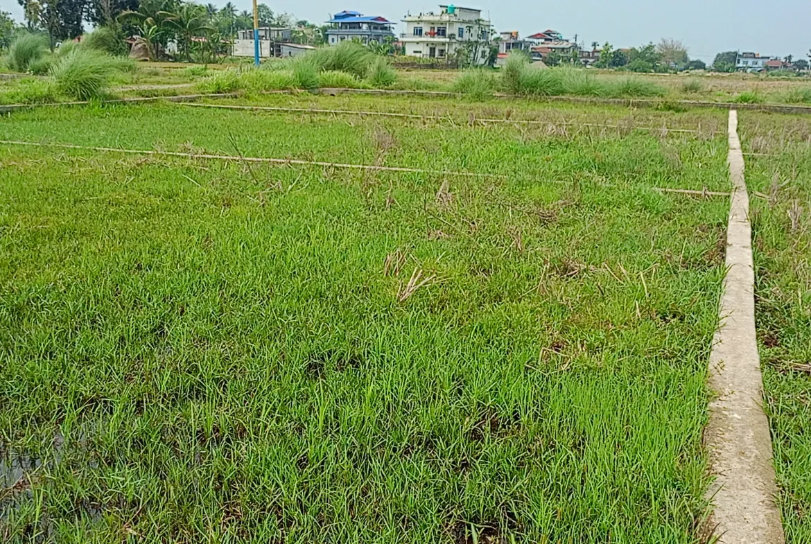 Residential Land on Sale at Sundarharaincha, Ward No 9, Morang