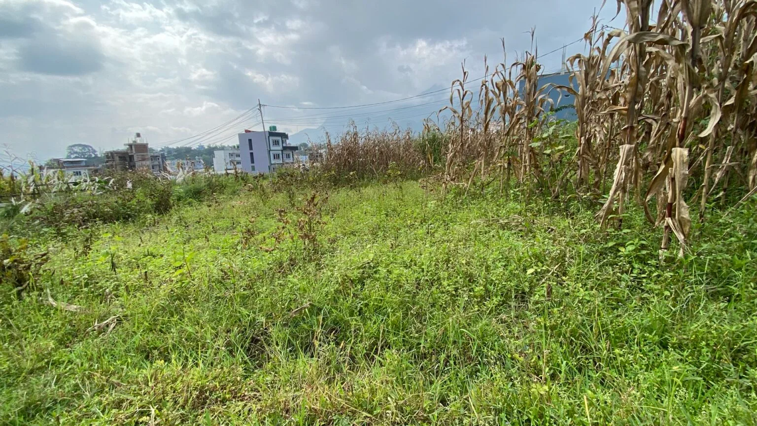 4 aana land for sale in Thankot, Surungmarg
