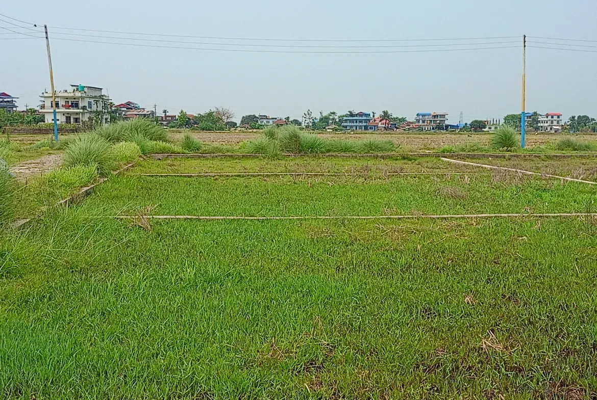 Residential Land on Sale at Ramdhuni Nagarpalika, Baklauri -4, Sunsari
