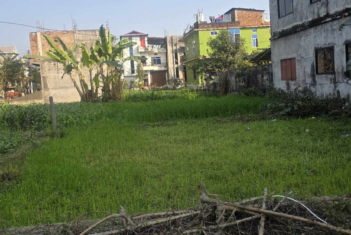 Residential Land on Sale at Sundarharaincha, Ward No 9, Morang