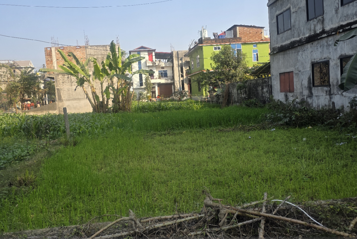 Residential Land on Sale at Sundarharaincha, Ward No 9, Morang