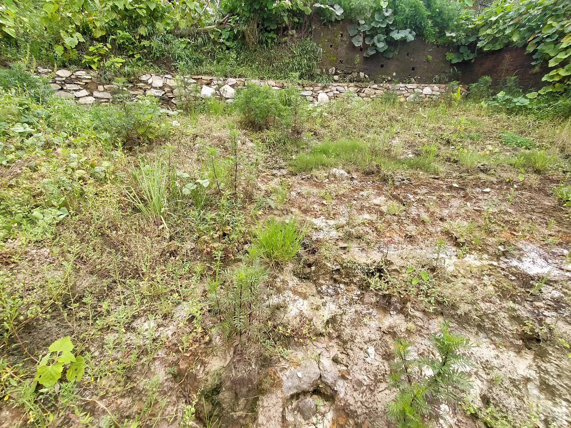 Residential Land on Sale in Kathmandu
