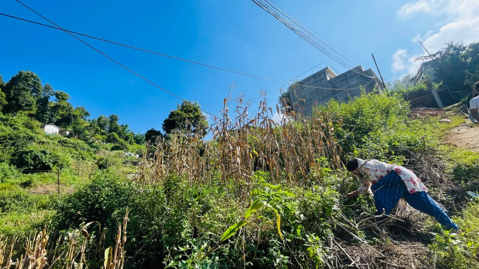 7 aana land for sale in Lamatar