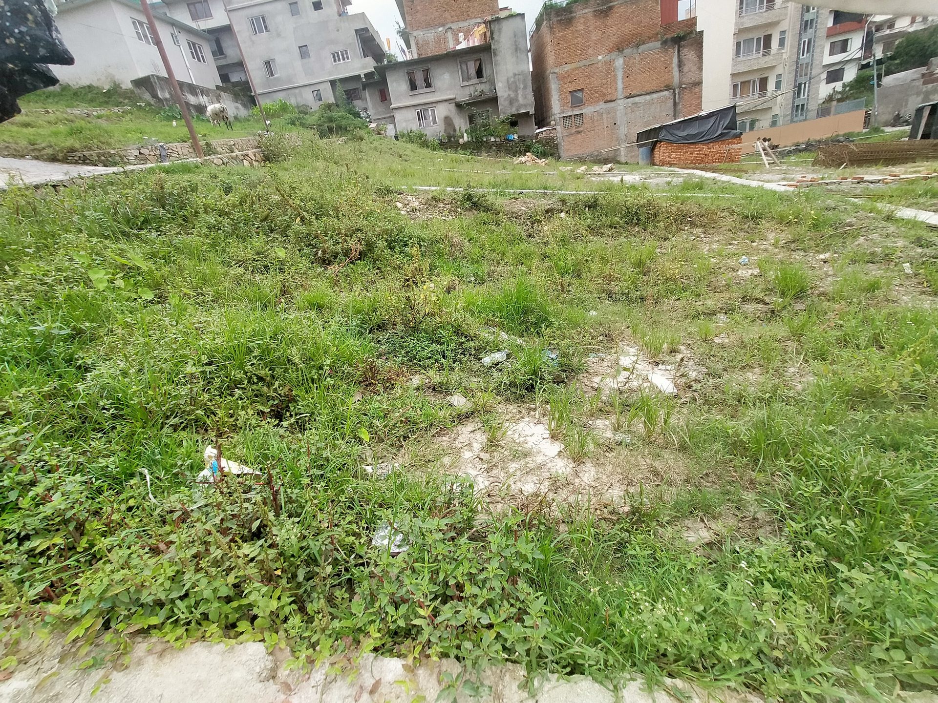 Residential Land on Sale in Tinthana