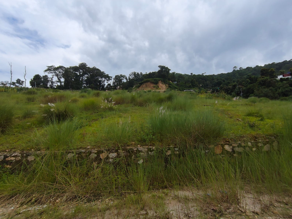 Others Land on Sale in Pasikot