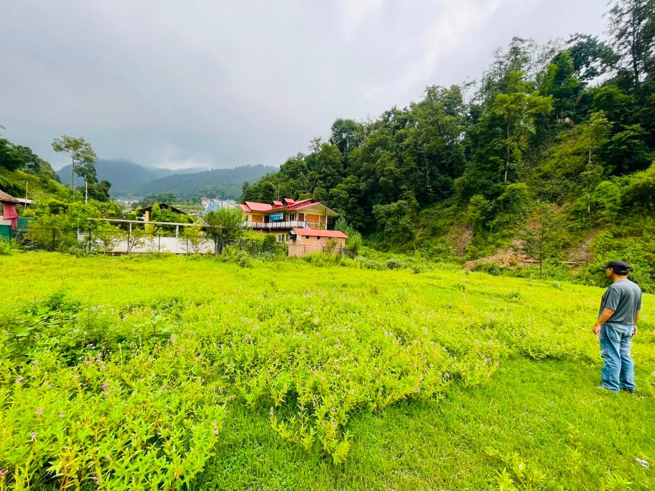4 aana 3 paisa Land for sale in Godawari