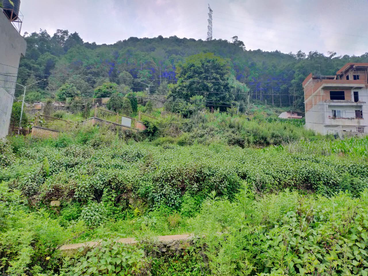 Spacious Land for Sale in Chandragiri, Kathmandu