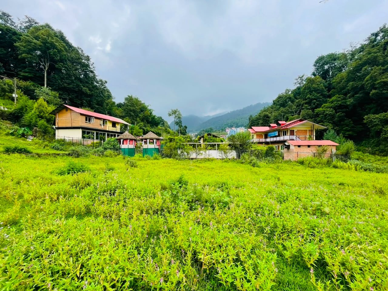 4 aana 3 paisa Land for sale in Godawari