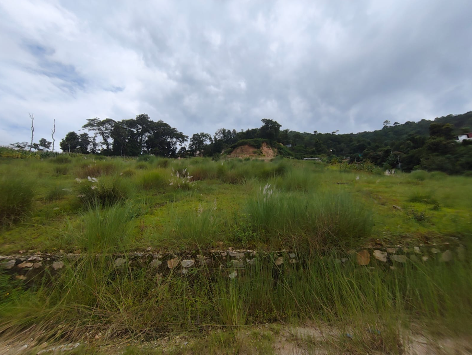 Others Land on Sale in Pasikot