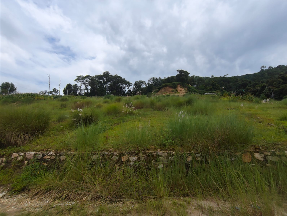 Others Land on Sale in Pasikot