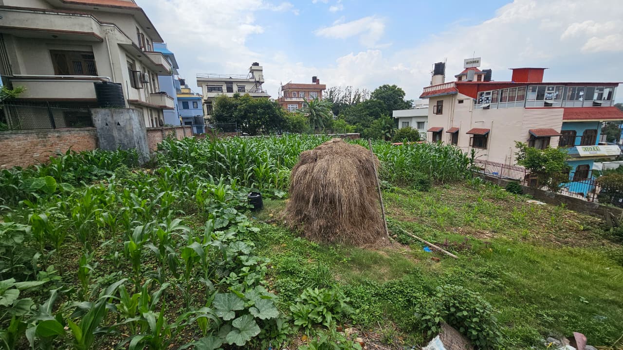 Land for Sale in Bhaisepati, Lalitpur | Prime Location Property