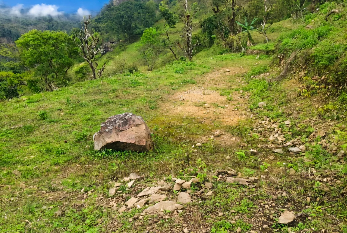 Agricultural Land on Sale at Dharan Upamahanagar Palika, Ward No 3, Chinde Dada, Dharan, Sunsari