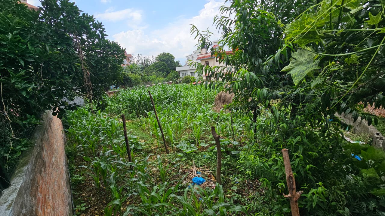 Land for Sale in Bhaisepati, Lalitpur | Prime Location Property