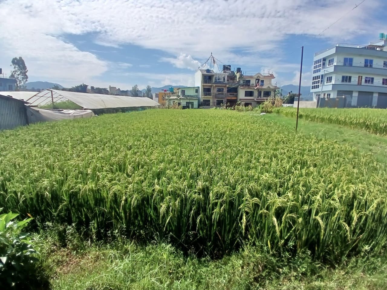 🏡 Land for Sale – Basbari, Bhaktapur