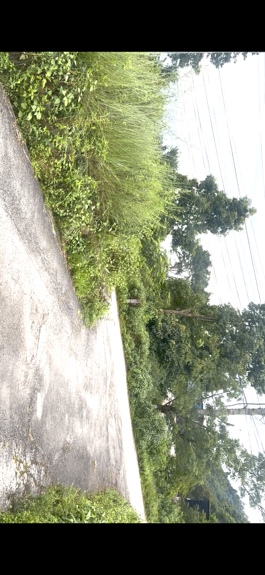 Residential Land on sell at Thankot, Chandragiri