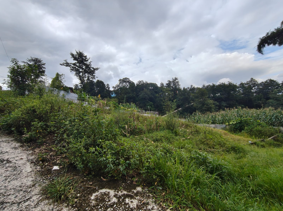 Land on Sale in Pasikot