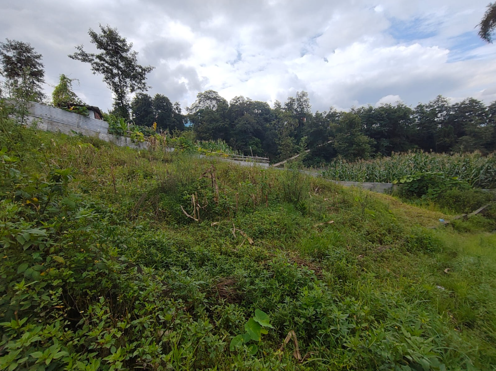 Land on Sale in Pasikot