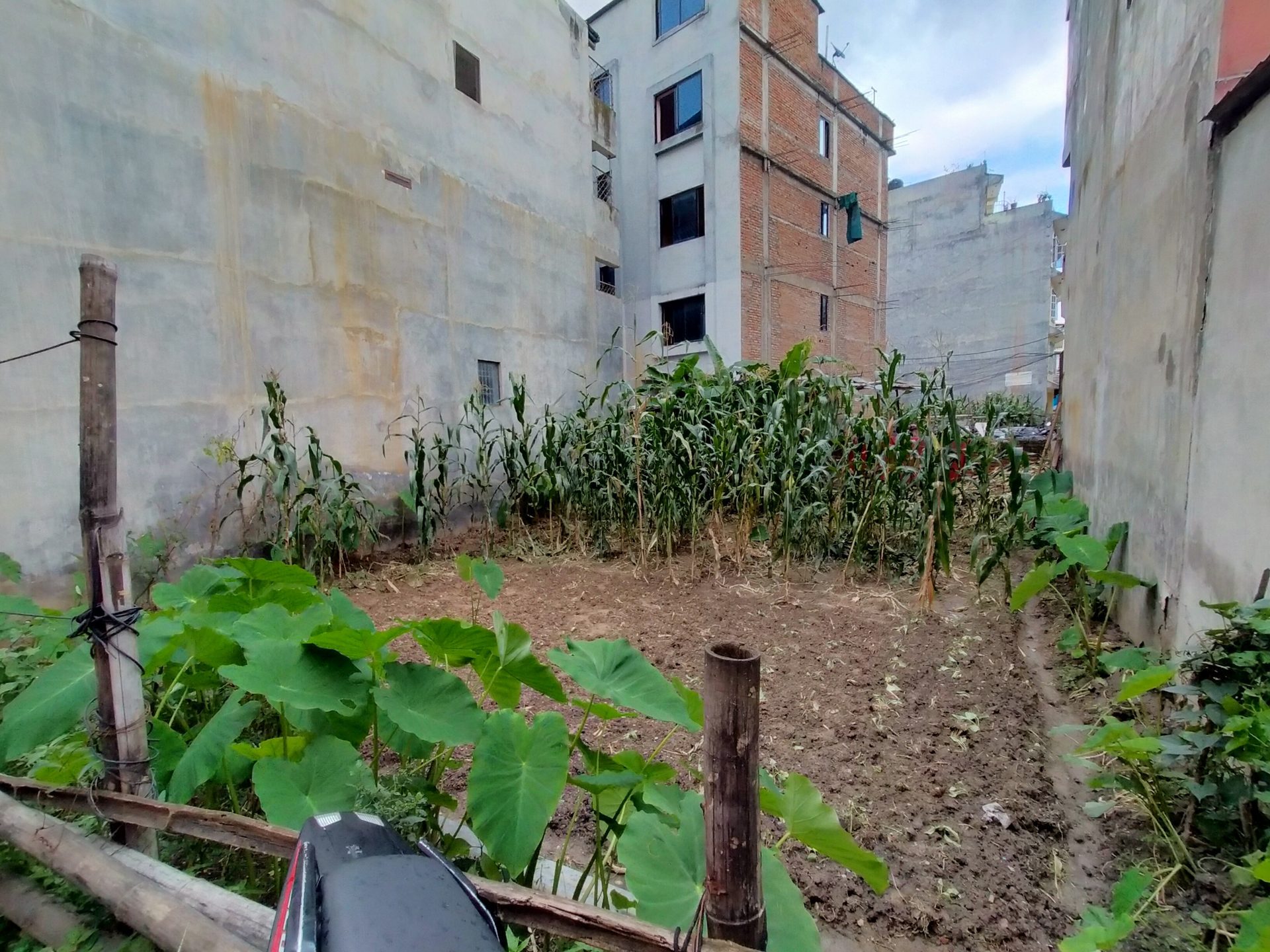 Residential Land on Sale in Kalanki