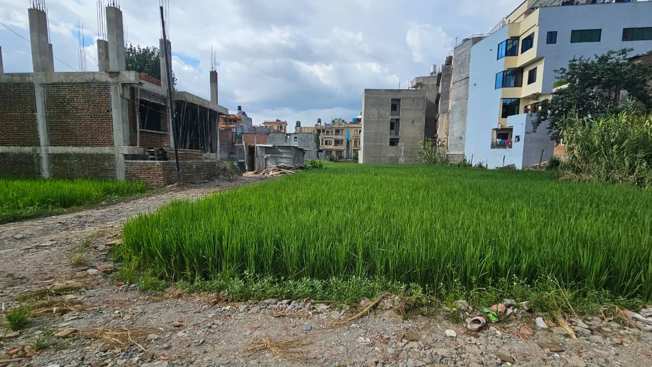 4 aana land for sale in Tikathali, Lalitpur, Tikathali, Lalitpur