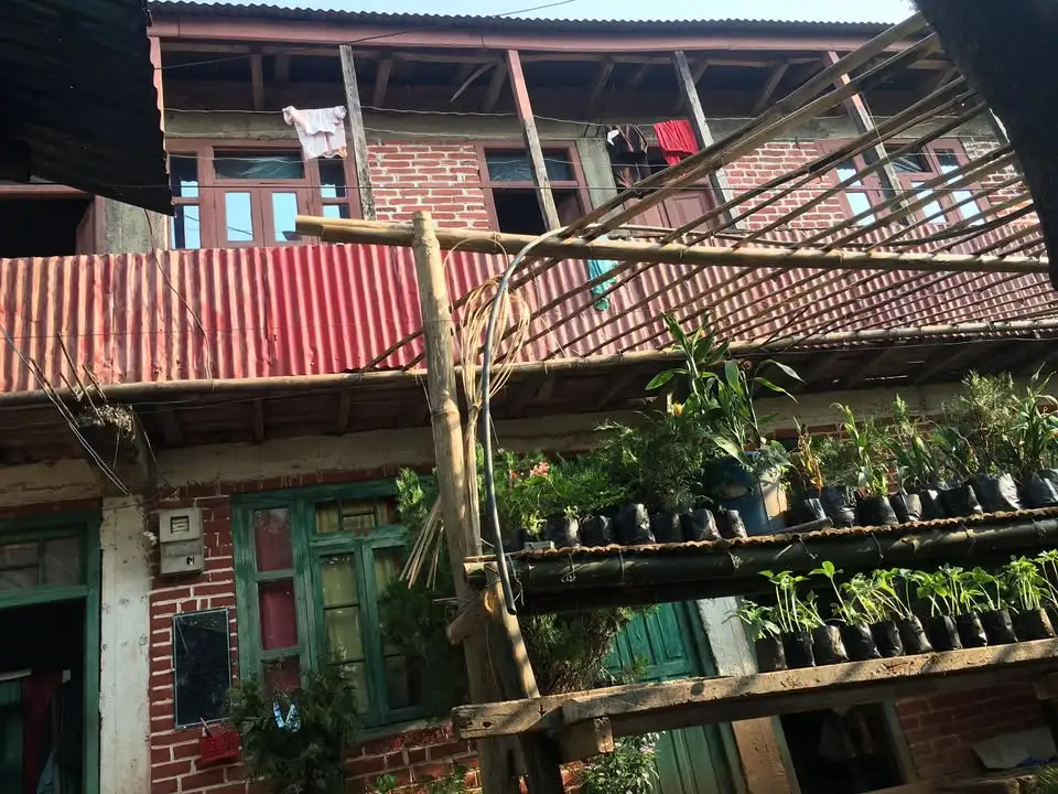 Residential House for Sale at Ilam Nagarpalika, Ward No. 9, Singha Bahini Tole, Ilam