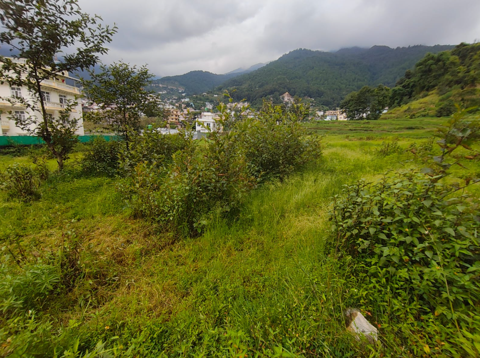 Land on Sale in Budhanilkantha