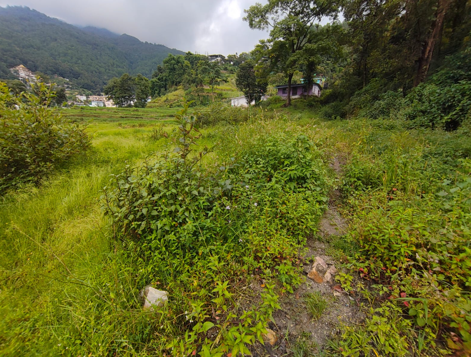 Land on Sale in Budhanilkantha