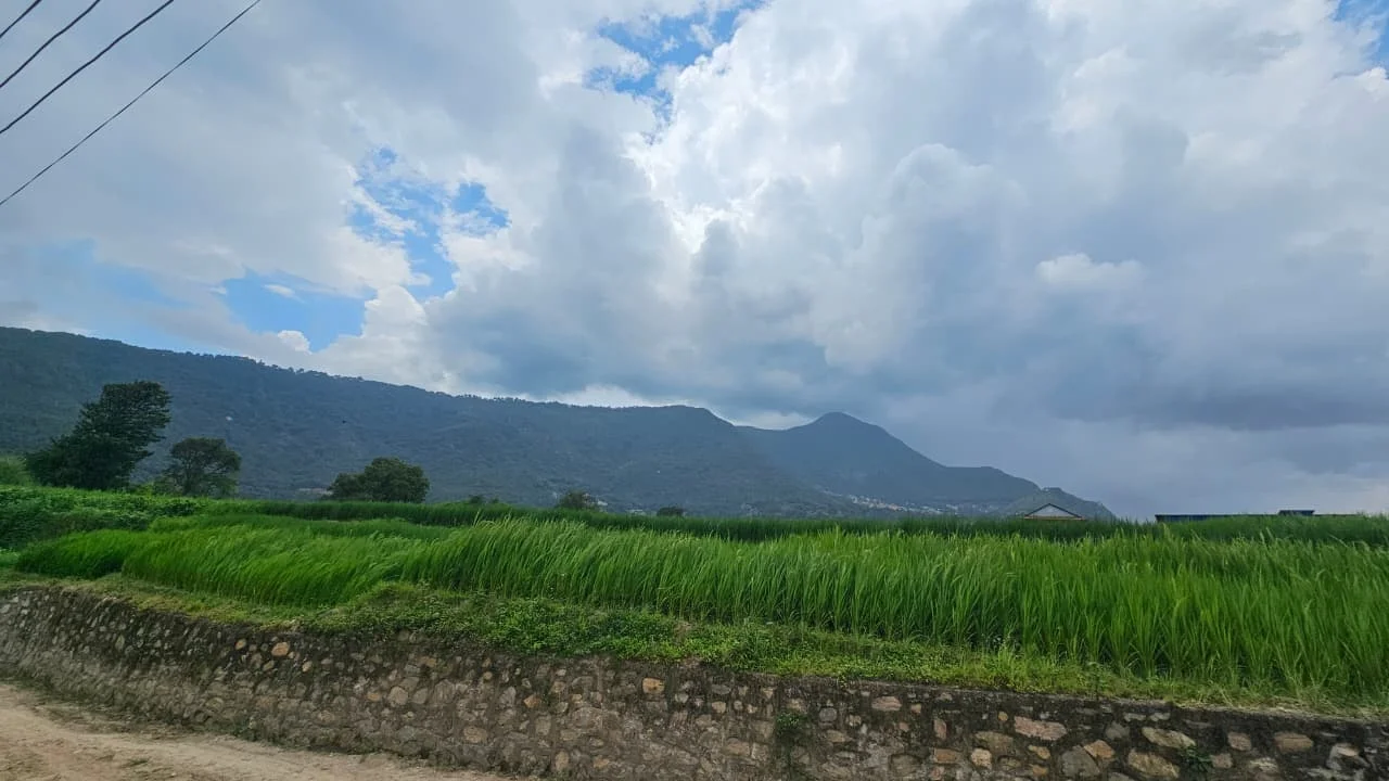 12 aana of land for sale in Khokana, Lalitpur, Khokana, Lalitpur
