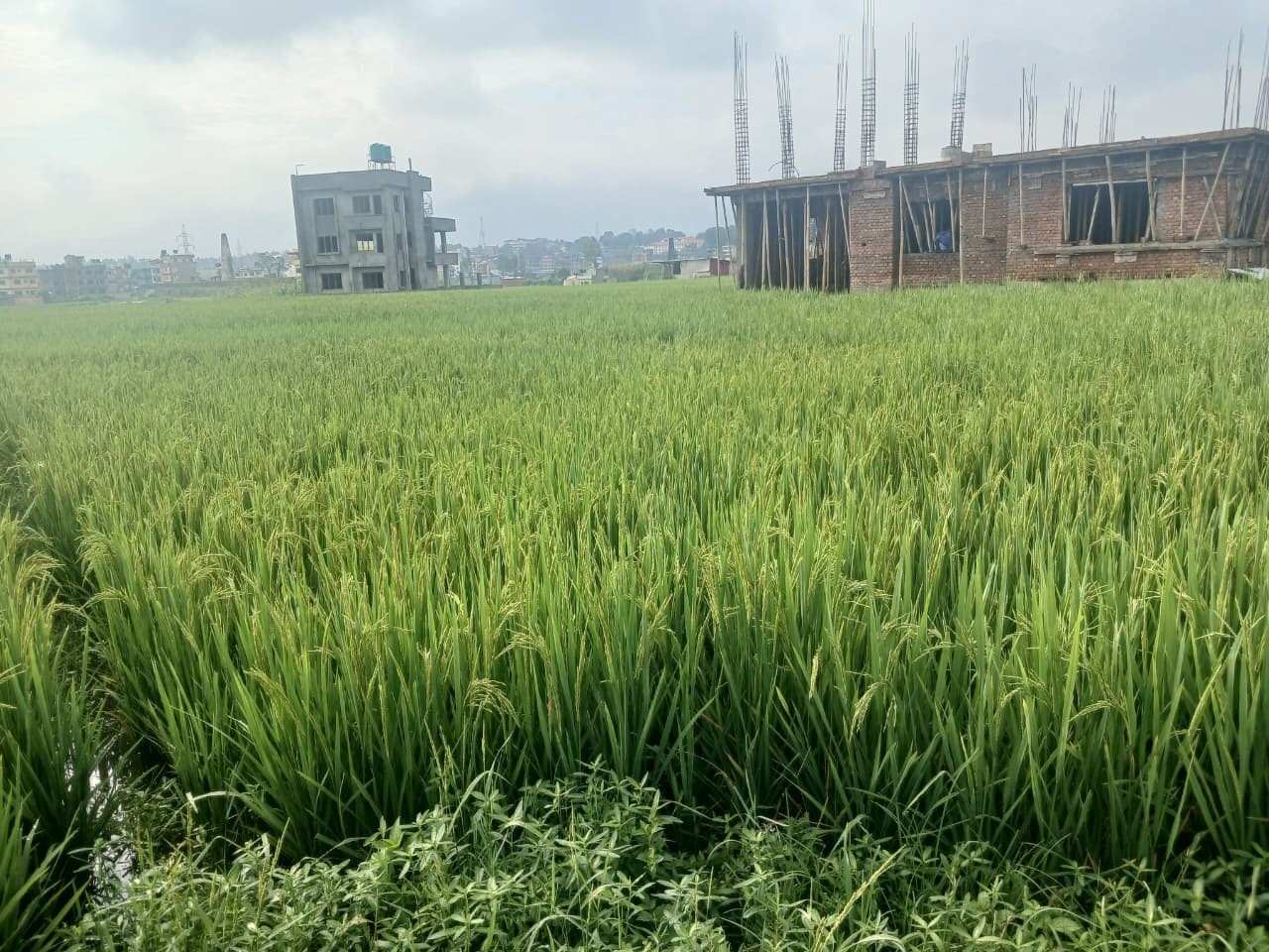 🏡 Land for Sale – Duwakot, Bhaktapur