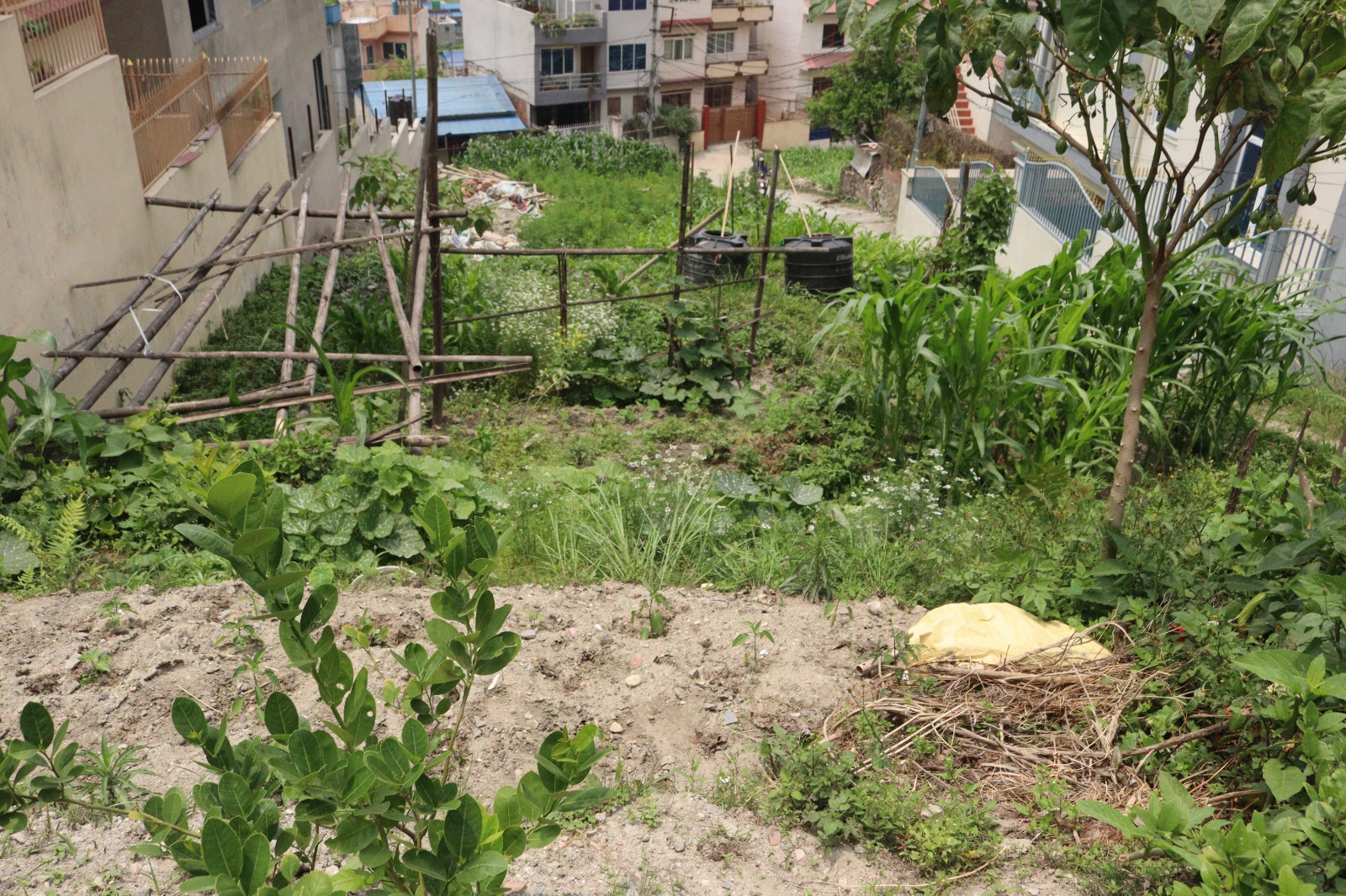 Residential Land for Sale in Hattigauda, Budhanilkantha, Kathmandu